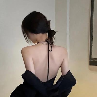 我和我的伙伴